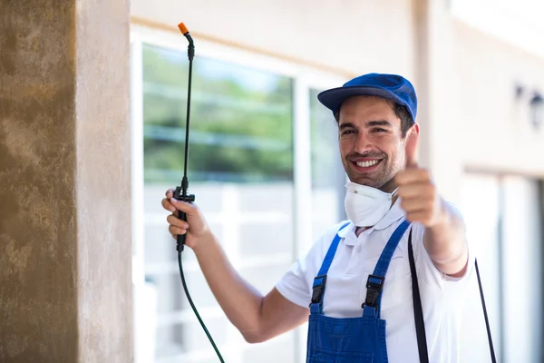 Benicia Wasp Removal