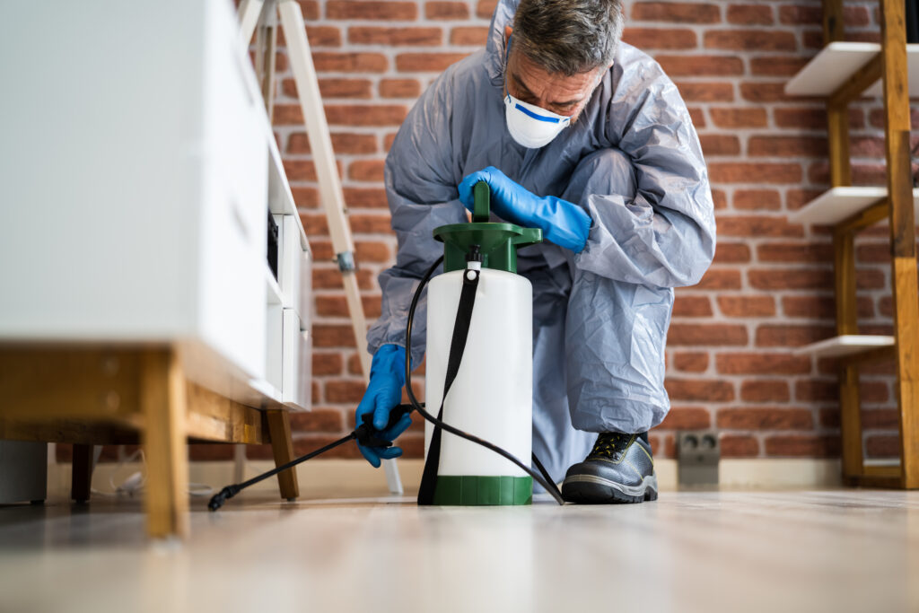 Benicia Spider Control