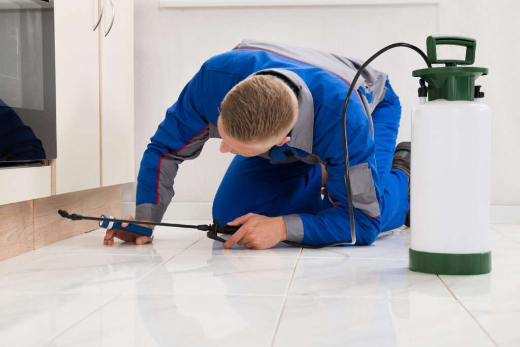 Benicia Ant Control Xperts