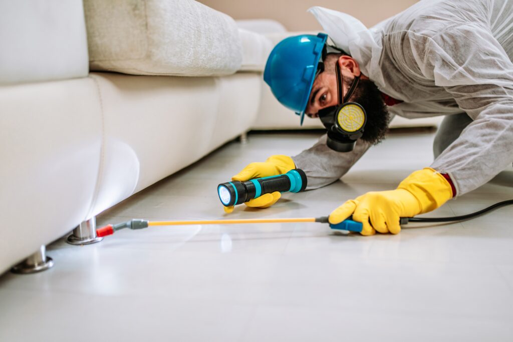 Benicia Termite Control