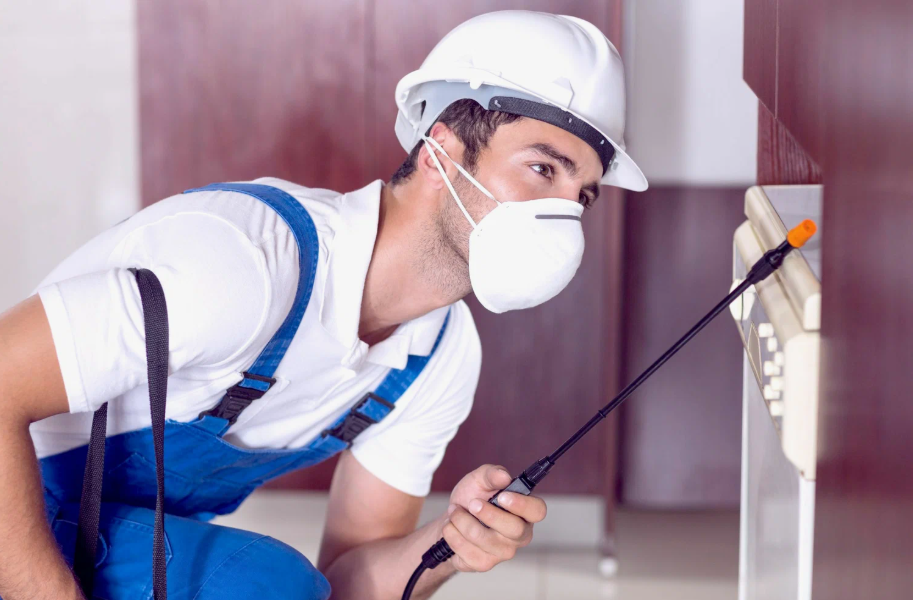 Benicia local pest services