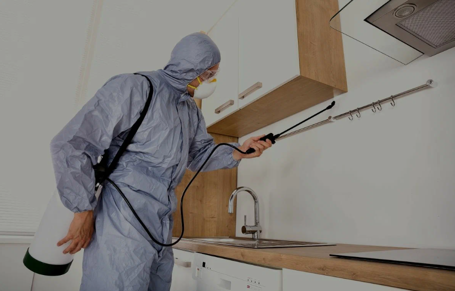 Benicia pest managment